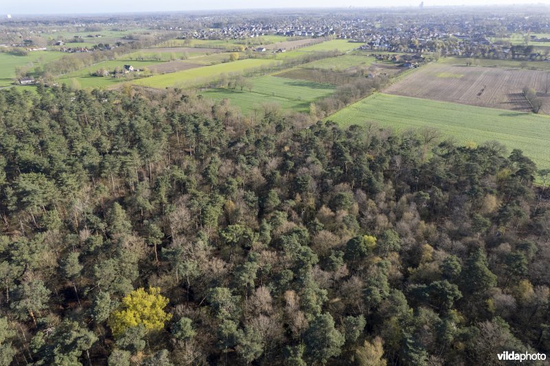 luchtfoto van het Provinciaal natuurdomein Hospicebossen