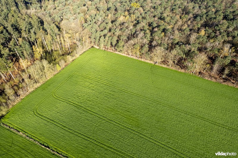 luchtfoto van het Provinciaal natuurdomein Hospicebossen