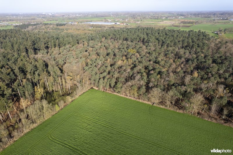 luchtfoto van het Provinciaal natuurdomein Hospicebossen