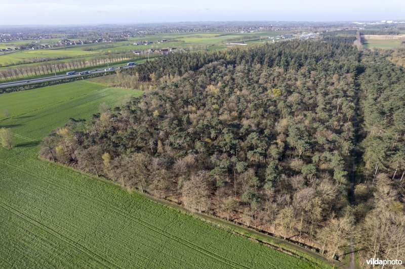 luchtfoto van het Provinciaal natuurdomein Hospicebossen