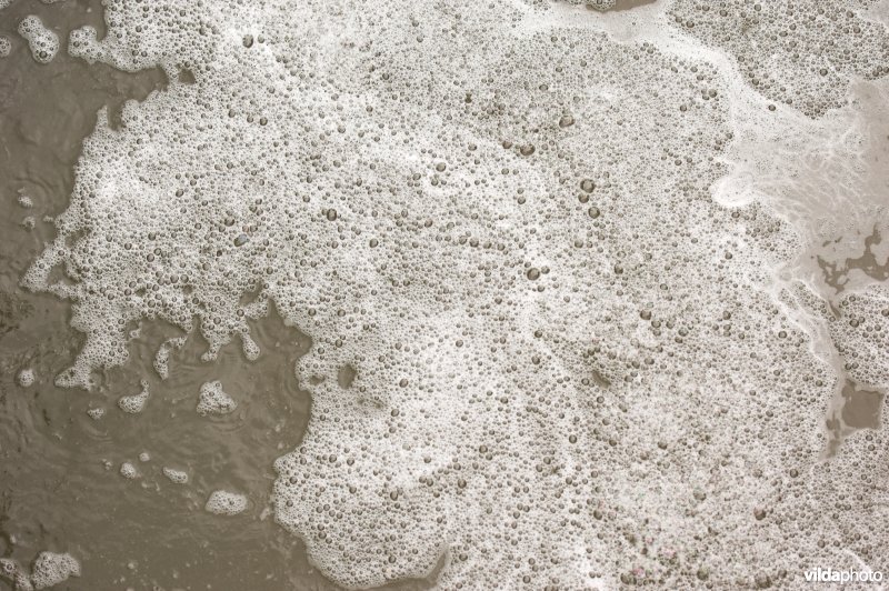 Vervuild water op de Herk