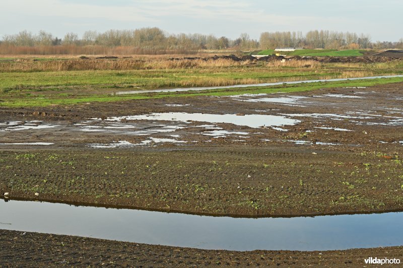 Vlassenbroekse Polder 