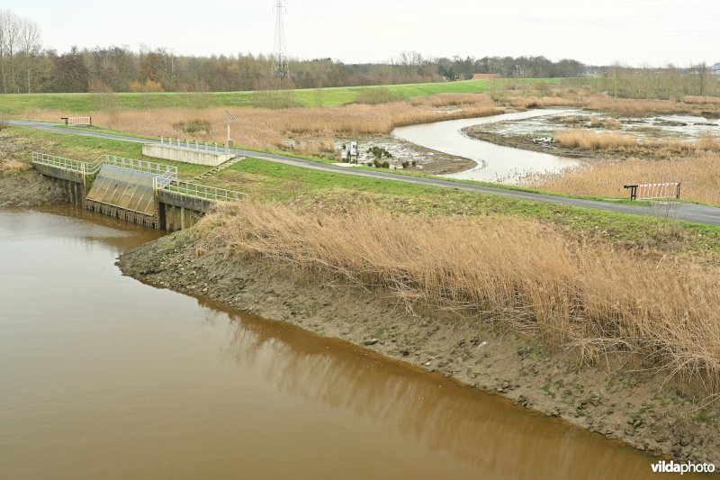 Grote Vijver Dijlevallei