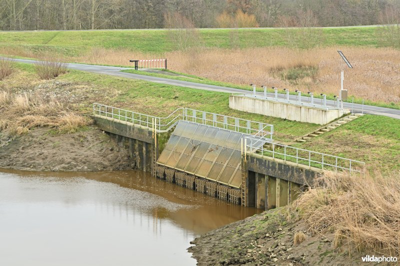 Grote Vijver Dijlevallei