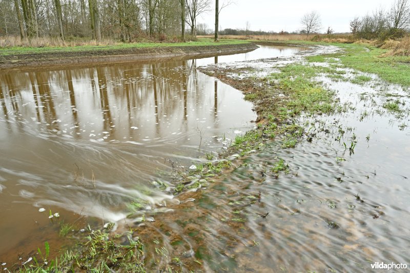 Demervallei: Kloosterbeemden