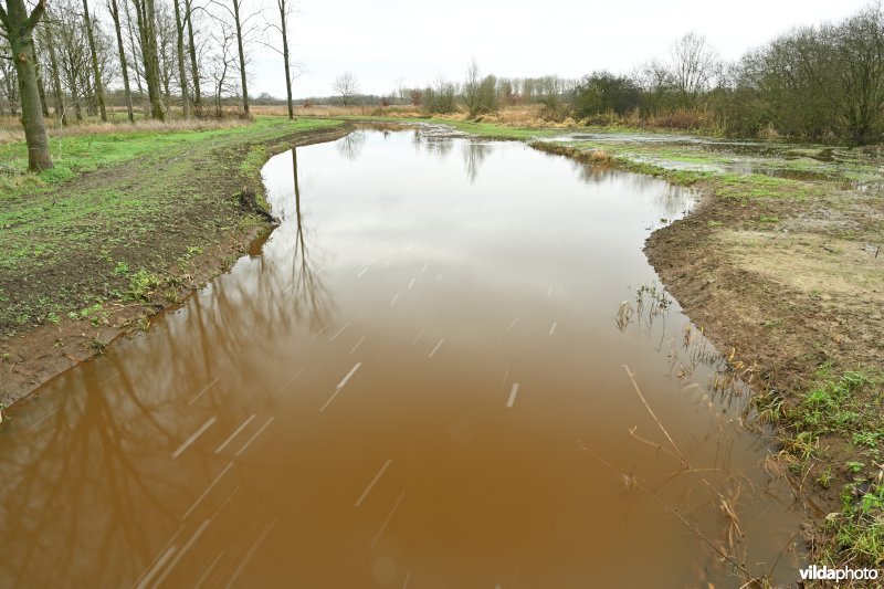 Demervallei: Kloosterbeemden