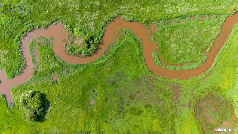 Zwarte Beek meandert door de vallei