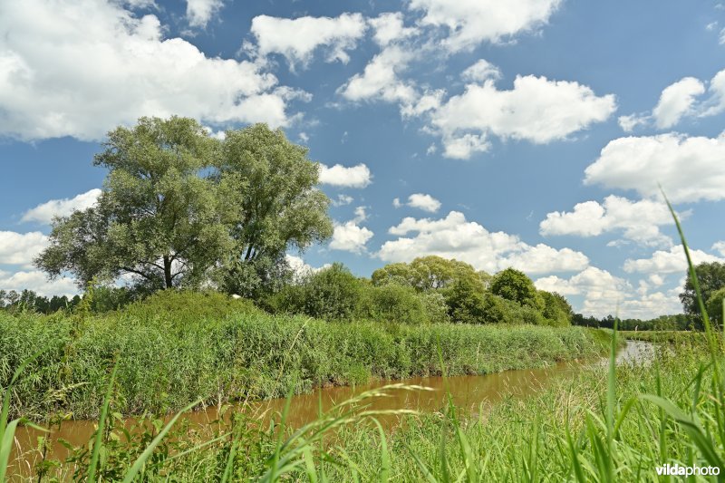 Demervallei: Rommelaar