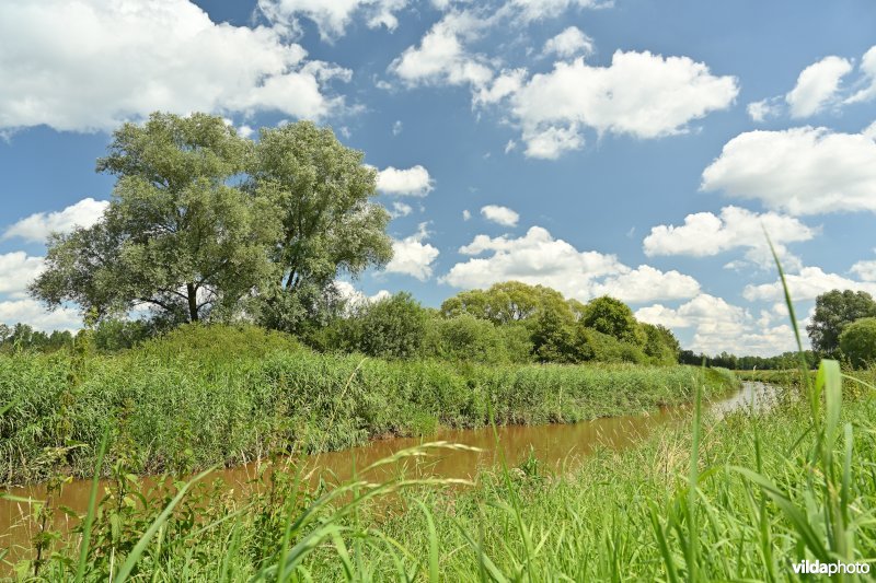 Demervallei: Rommelaar