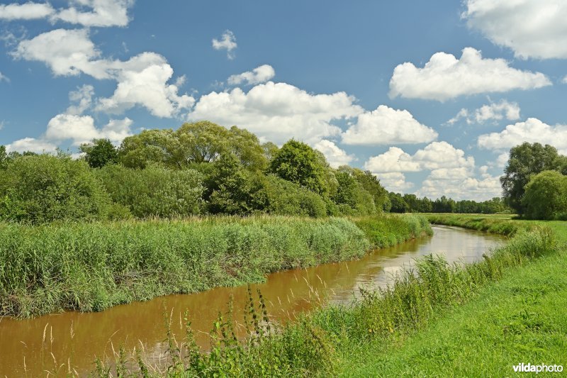 Demervallei: Rommelaar