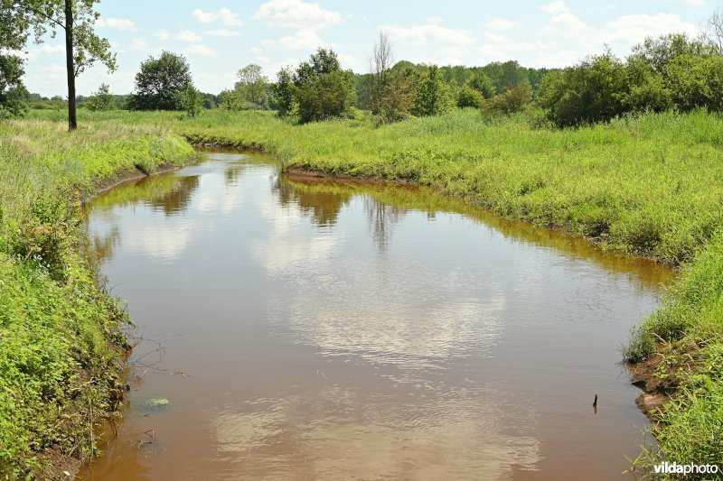 Demervallei: Kloosterbeemden (R)  