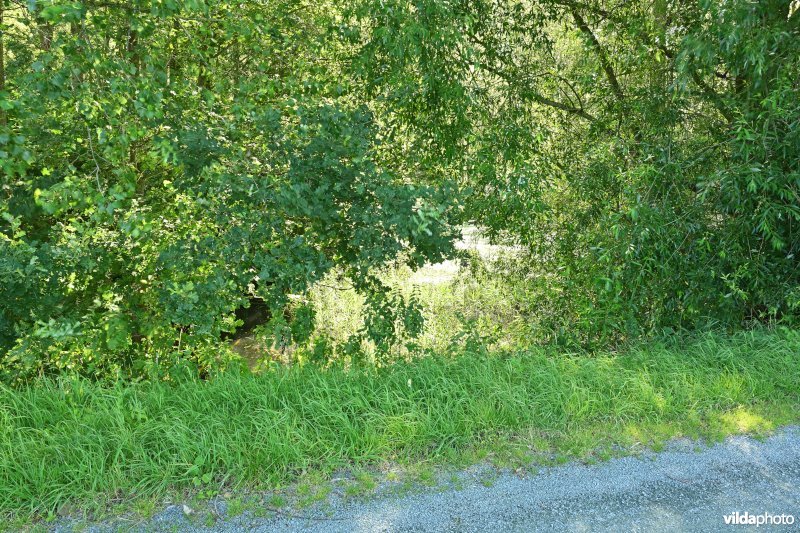 Demervallei: Molenstedebroek