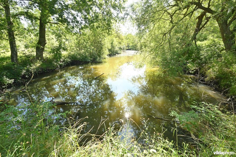 Demervallei: Molenstedebroek