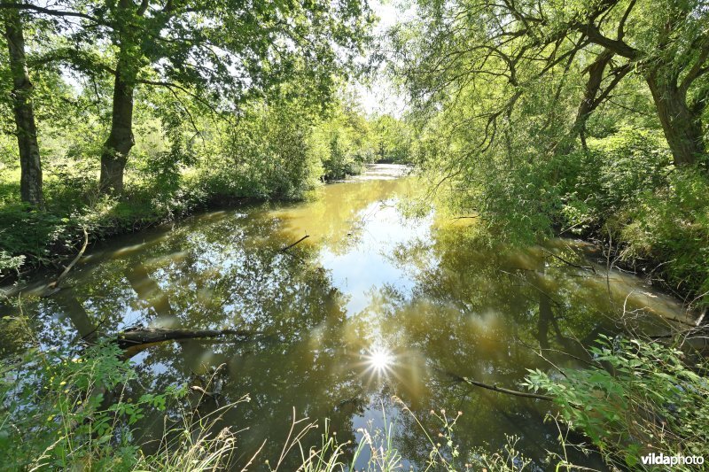 Demervallei: Molenstedebroek