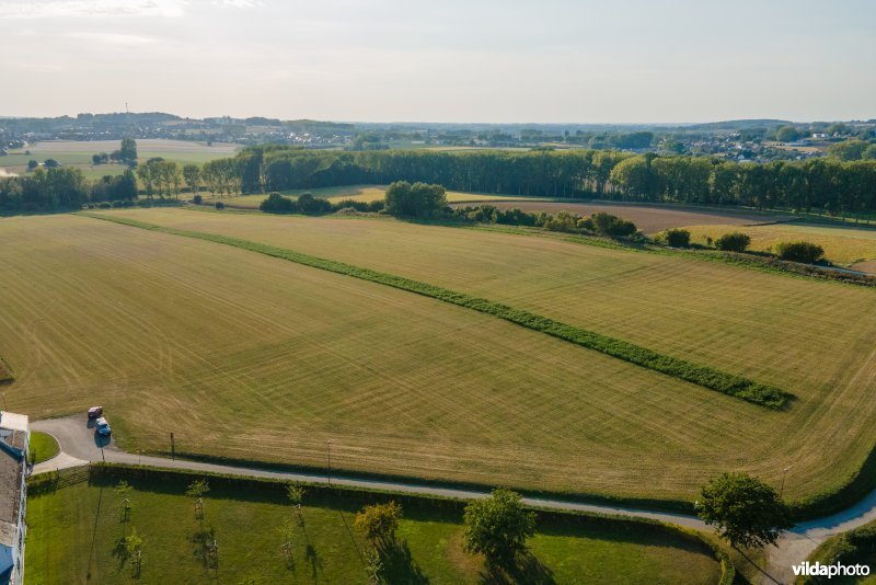 Overlevingsstroken in landbouwlandschap