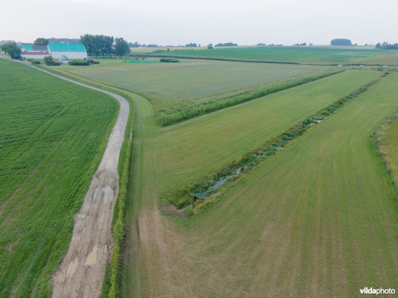 Natuurmaatregelen in agrarisch landschap