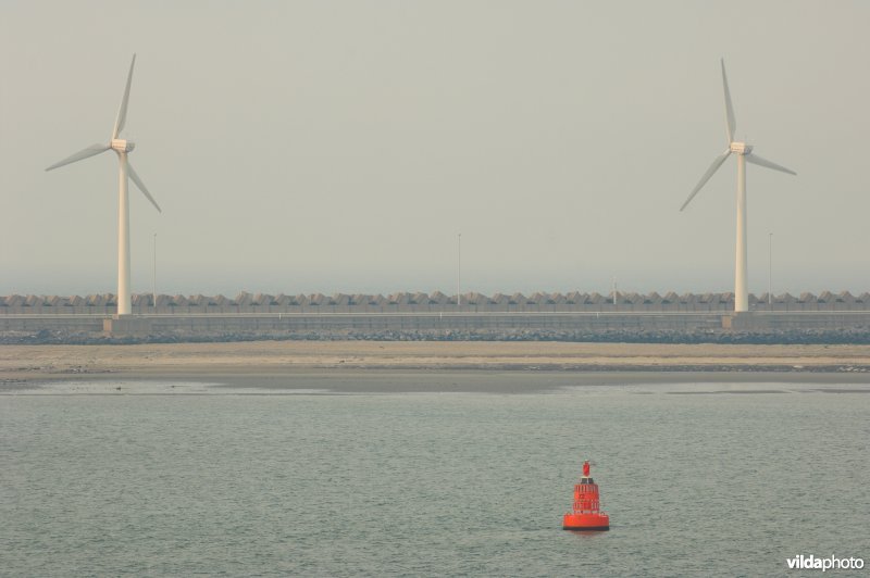 Windmolens in de voorhaven van Zeebrugge