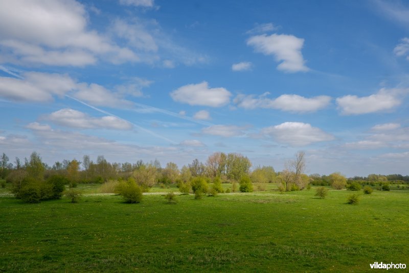 Kronkelwaard Cortenoever