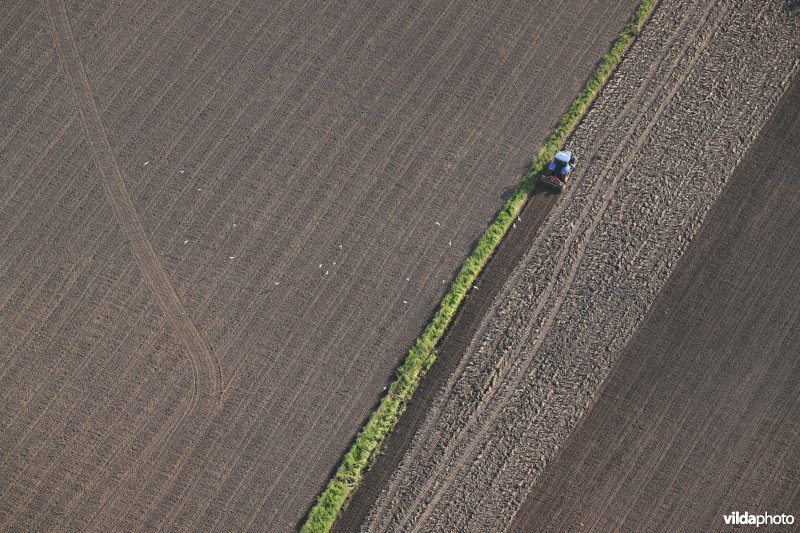 Tractor ploegt akker 
