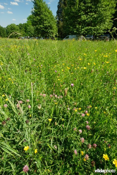 6510 Schraal hooiland