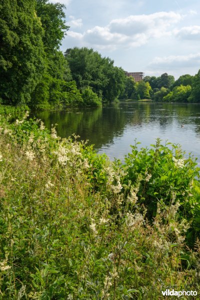 HGB Dotterbloemgrasland