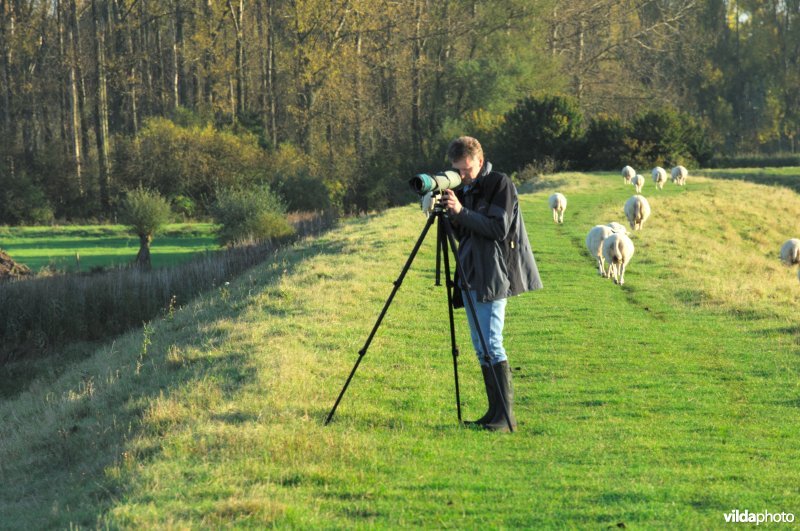Vogelkijker aan het Schulensmeer