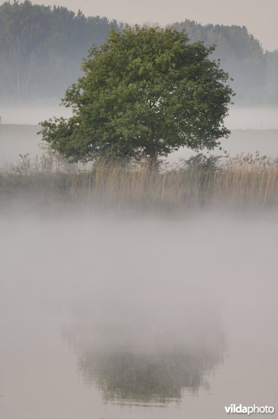 Schulensmeer