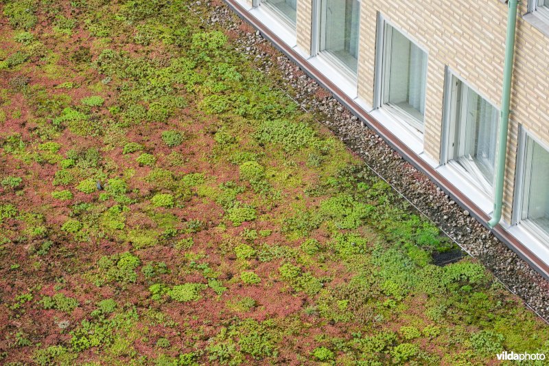 Groendak op een hotel