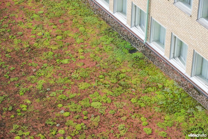 Groendak op een hotel
