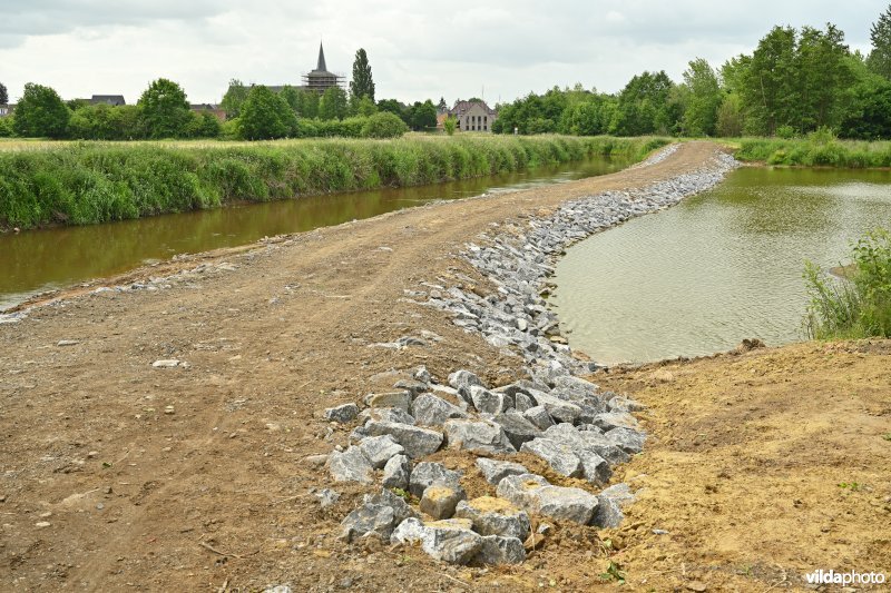 Demervallei: Kloosterbeemden