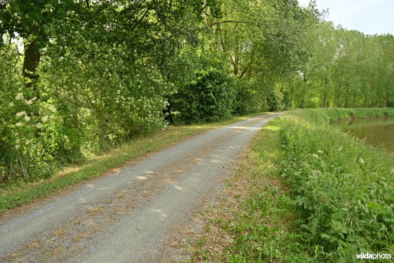 Demervallei: Molenstedebroek 