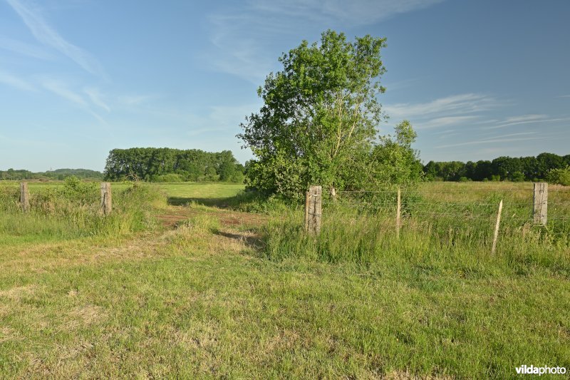 Bruggeneindse Laakvallei