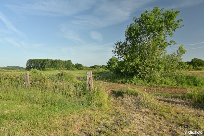 Bruggeneindse Laakvallei