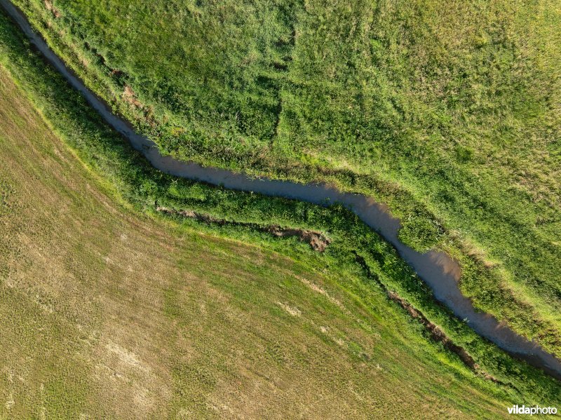 Bruggeneindse Laak in de Grote Netevallei