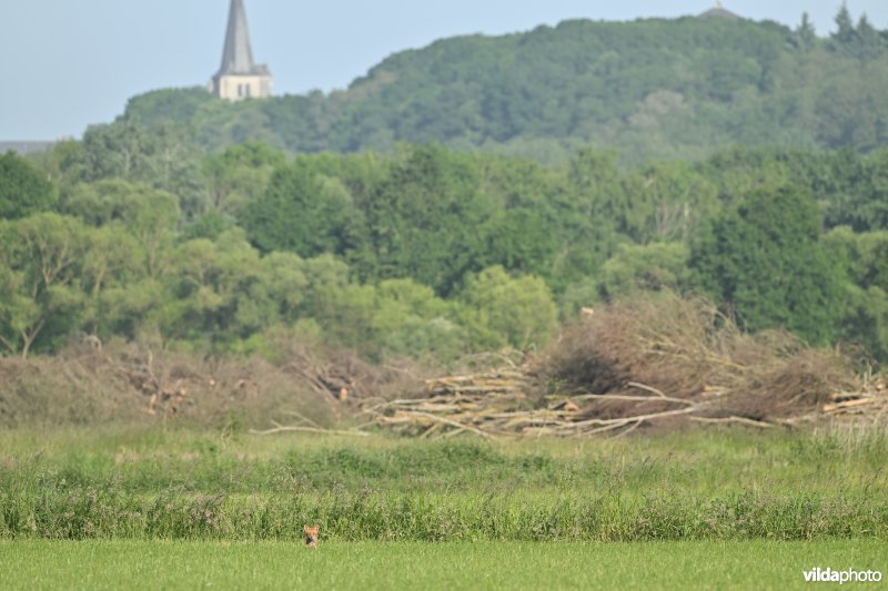 Bruggeneindse Laakvallei
