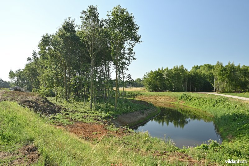 Demervallei: hermeandering