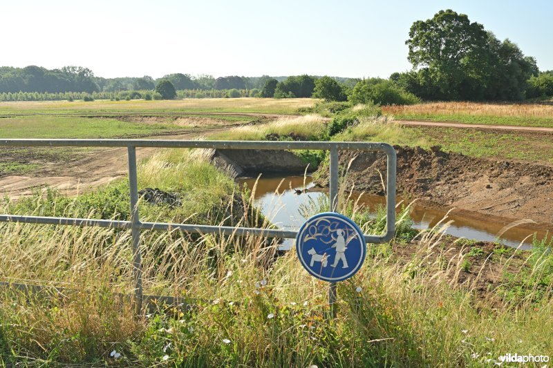 Demervallei: hermeandering