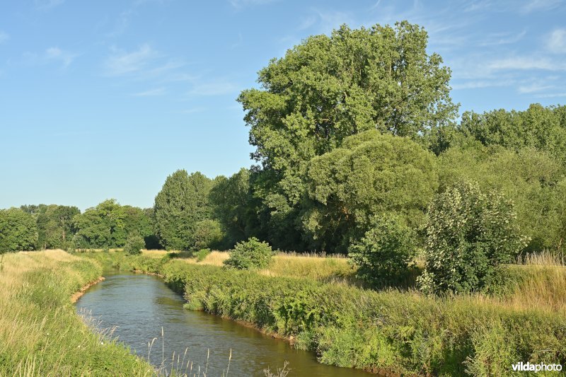 Demervallei 
