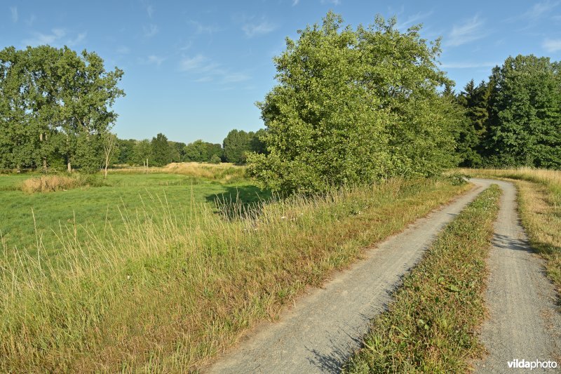 Demervallei 