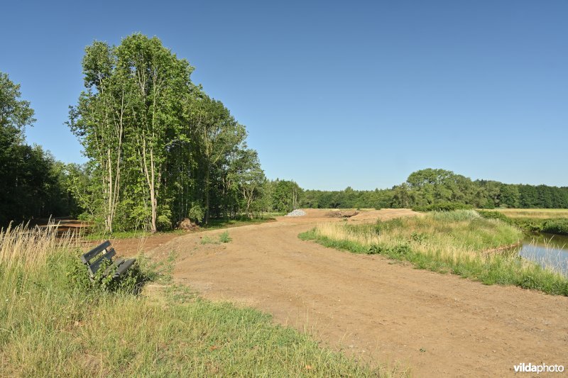 Demervallei: Zallaken   