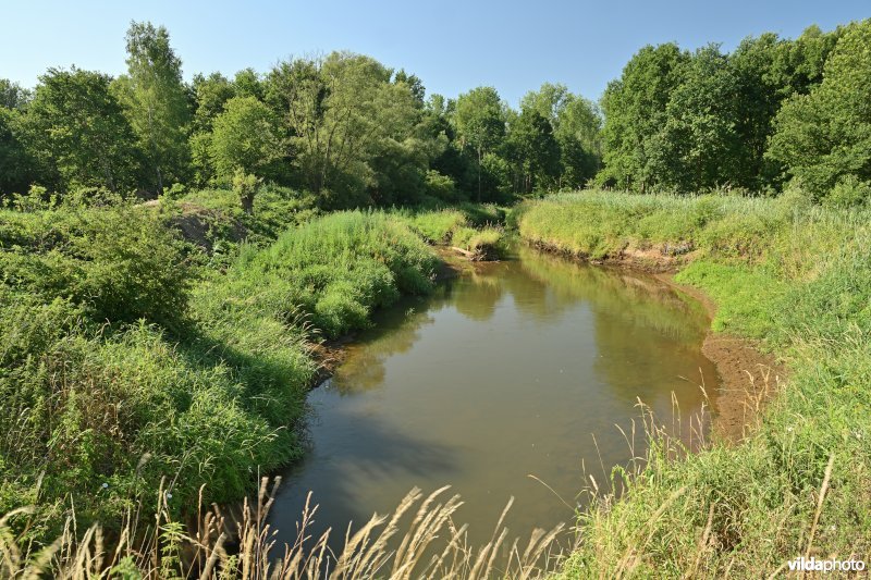 Demervallei: meander 23 (R)