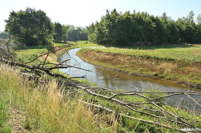 Demervallei: hermeandering