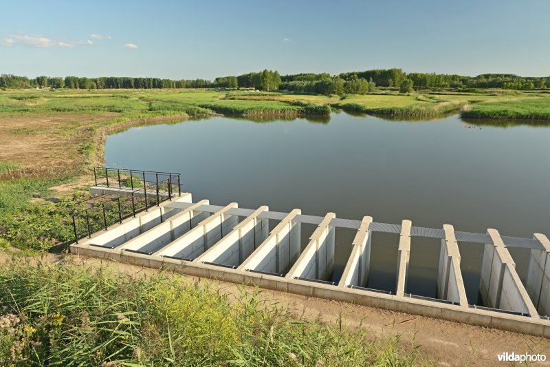 Vlassenbroekse polder 