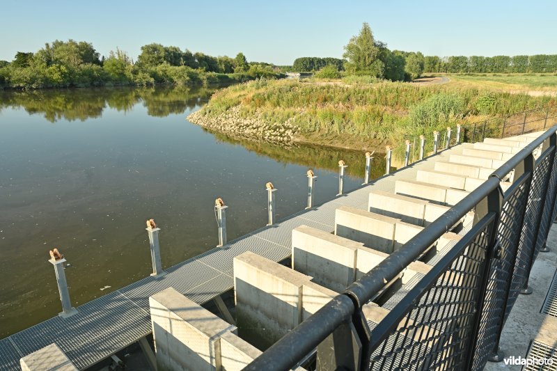 Vlassenbroekse polder 