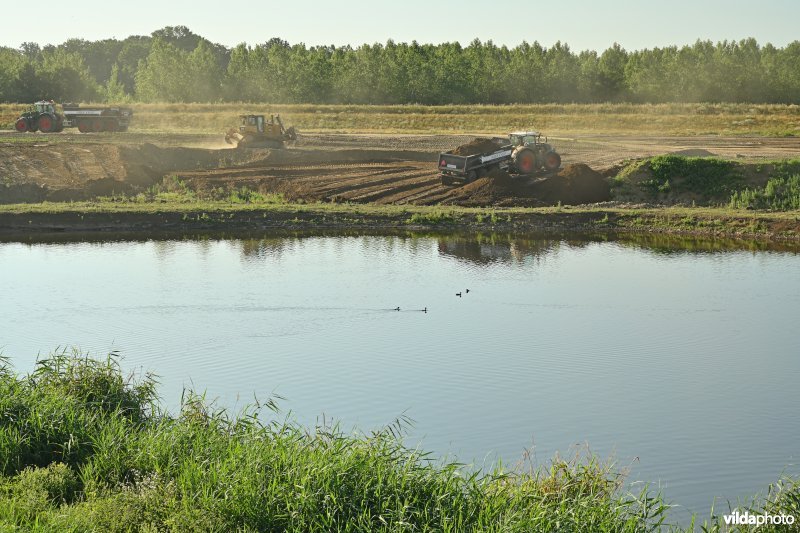 Groot Schoor te Bornem