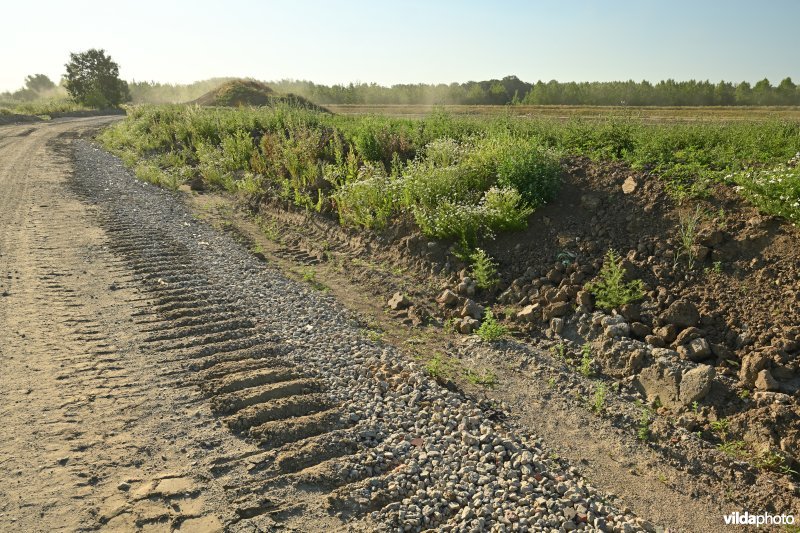 Groot Schoor te Bornem