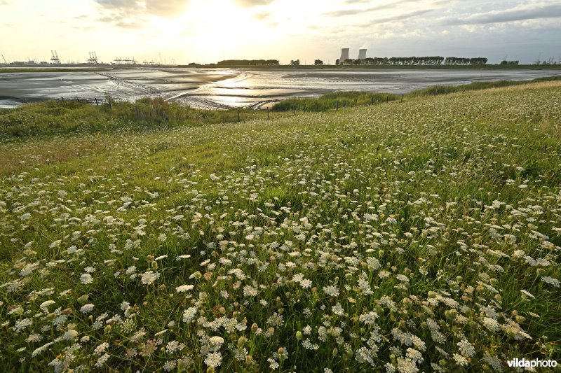 Hedwige-Prosperschor
