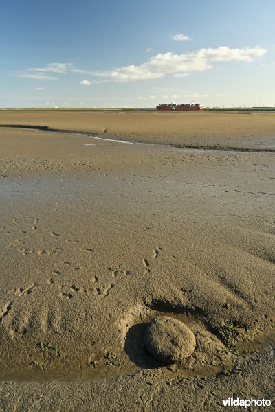 Hedwige-Prosperschor