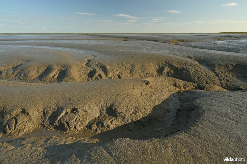 Hedwige-Prosperschor