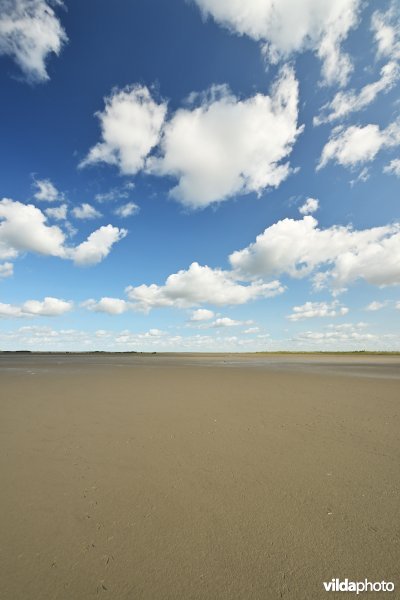 Hedwige-Prosperschor